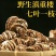 中药材重楼云南野生重楼七叶一枝花野生滇重楼包邮