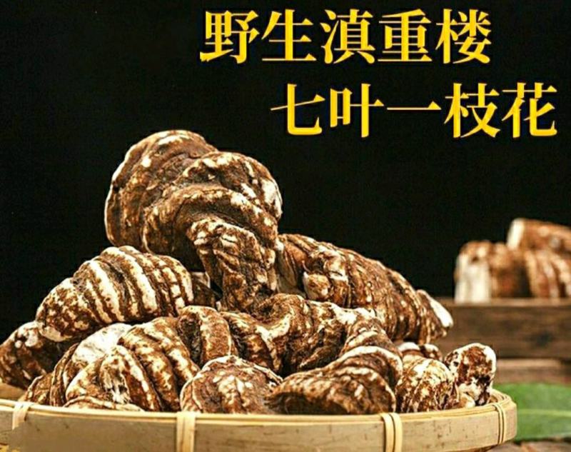 中药材重楼云南野生重楼七叶一枝花野生滇重楼包邮