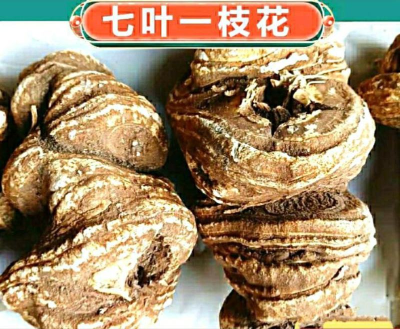 中药材重楼云南野生重楼七叶一枝花野生滇重楼包邮