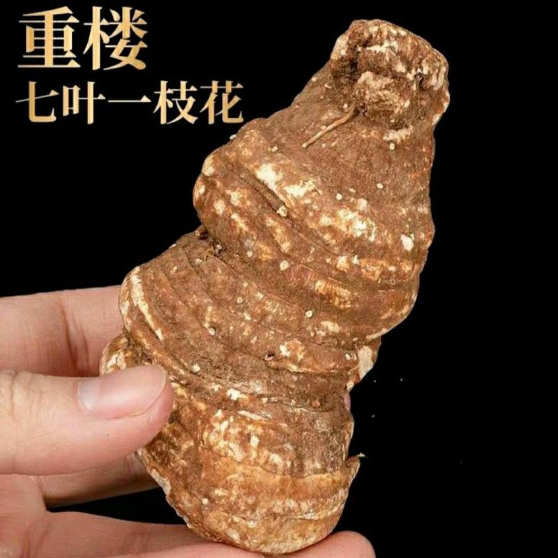 中药材重楼云南野生重楼七叶一枝花野生滇重楼包邮