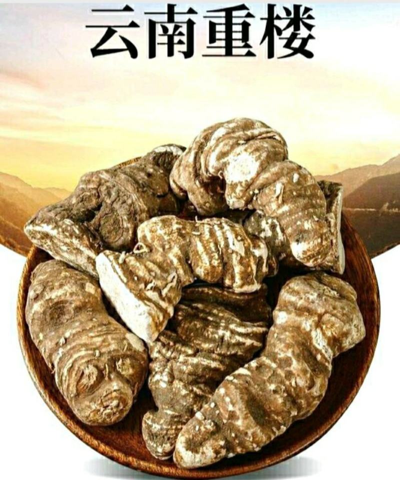 中药材重楼云南野生重楼七叶一枝花野生滇重楼包邮
