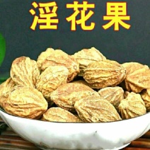 野生淫花果阳鞭果壮阳果干净无杂泡水泡茶泡酒包邮