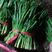 【大叶韭菜】河北邯郸大叶韭菜，现割现发，可对接全国市场商超。