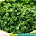 农家青花椒特麻特香青花椒颗粒饱满干净无杂炖肉调料