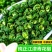 农家青花椒特麻特香青花椒颗粒饱满干净无杂炖肉调料