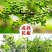 农家青花椒特麻特香青花椒颗粒饱满干净无杂炖肉调料