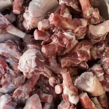多肉羊棒骨