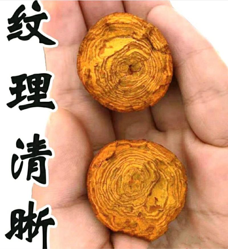 牛黄中药材牛黄牛结石牛胆黄干净无杂质量保证包邮