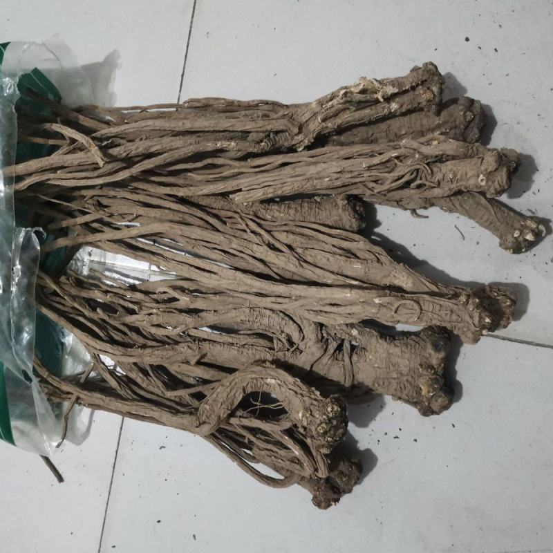 岷县无硫当归个全当归片整条当归尾有硫当归当归身黄芪党参
