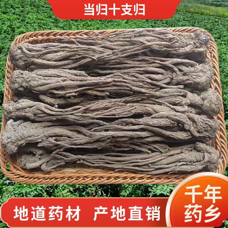 岷县无硫当归个全当归片整条当归尾有硫当归当归身黄芪党参