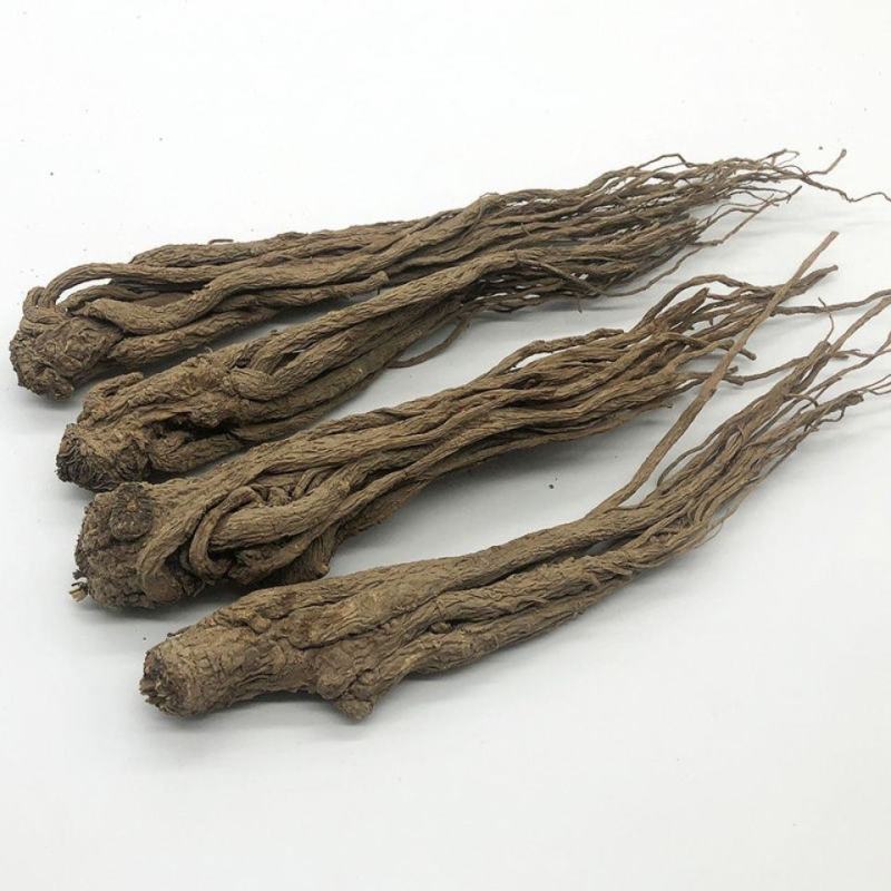 岷县无硫当归个全当归片整条当归尾有硫当归当归身黄芪党参