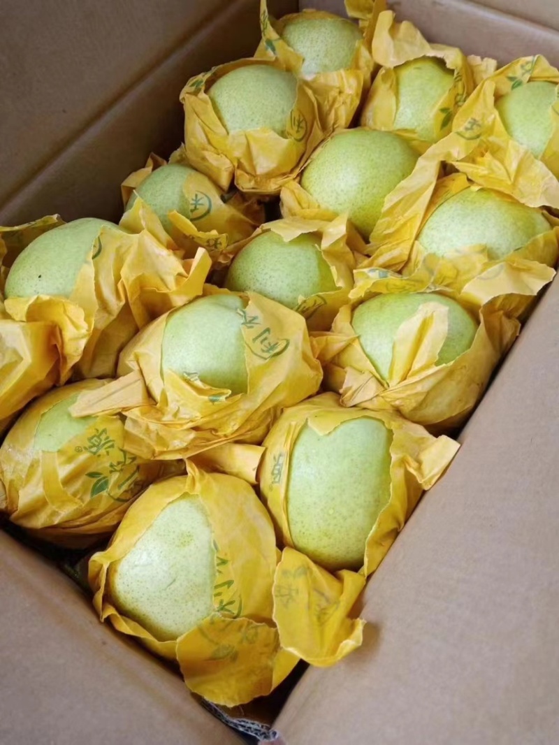 雪花梨云南红河雪花梨大量上市中品质保障量大从优
