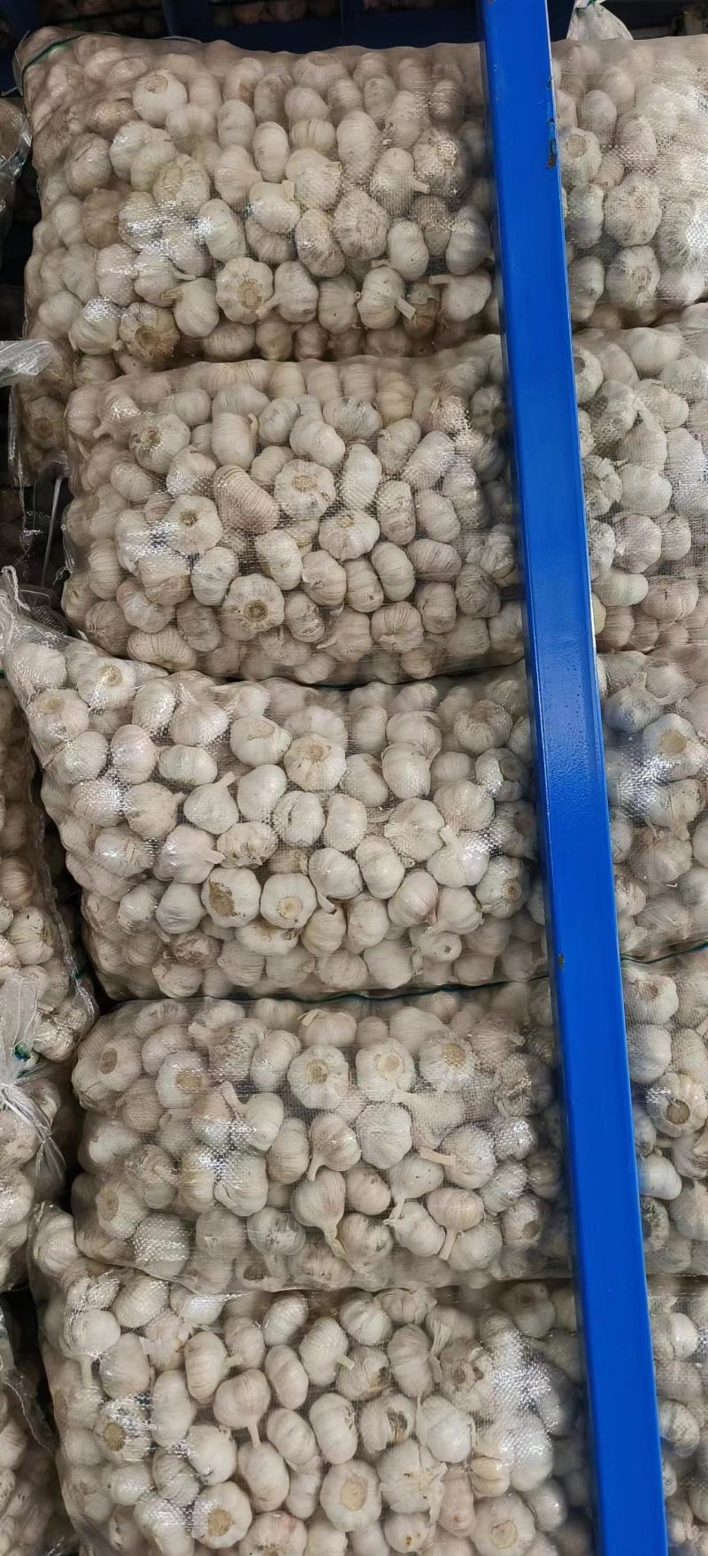 邳州大蒜