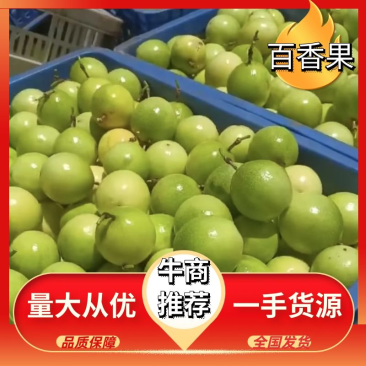 广东百香果钦密九号酸甜爽口质量保障大量有货欢迎致电