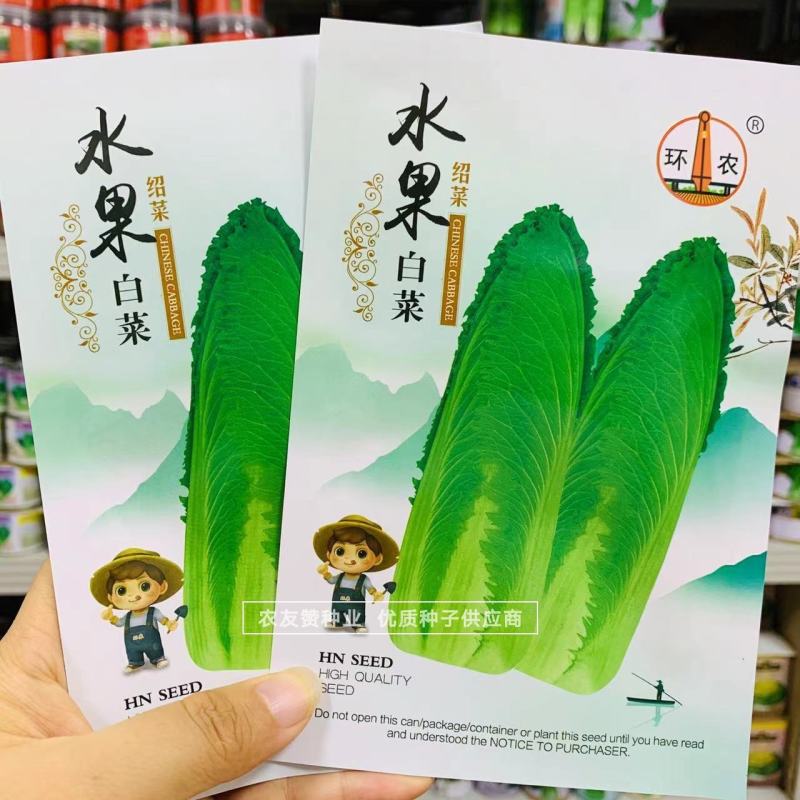 御菜种子青麻叶大白菜种子水果白菜种子直筒合抱型天津麻叶菜