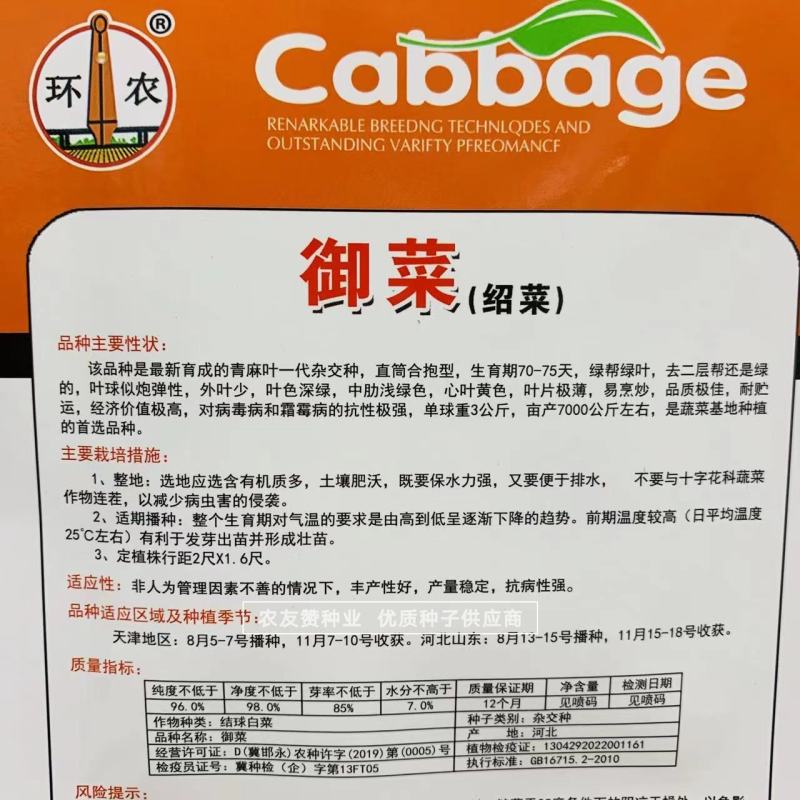 御菜种子青麻叶大白菜种子水果白菜种子直筒合抱型天津麻叶菜