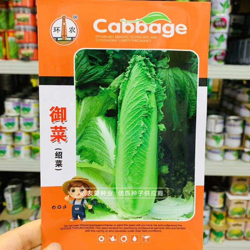 御菜种子青麻叶大白菜种子水果白菜种子直筒合抱型天津麻叶菜