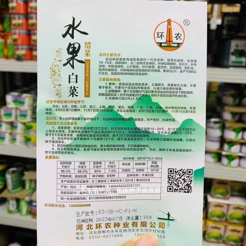 御菜种子青麻叶大白菜种子水果白菜种子直筒合抱型天津麻叶菜