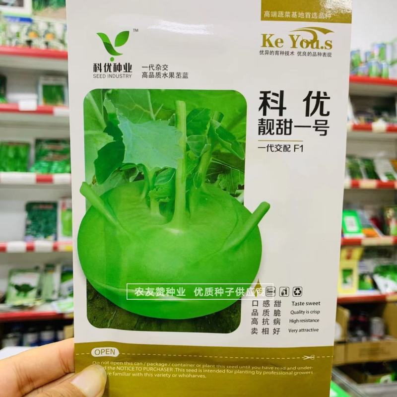 靓甜一号二号水果苤蓝种子脆甜皮薄含糖量高早熟扁青苤兰种子