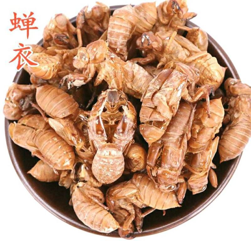 中药材蝉蜕蝉衣知了壳自然脱落干净无杂保质保量包邮