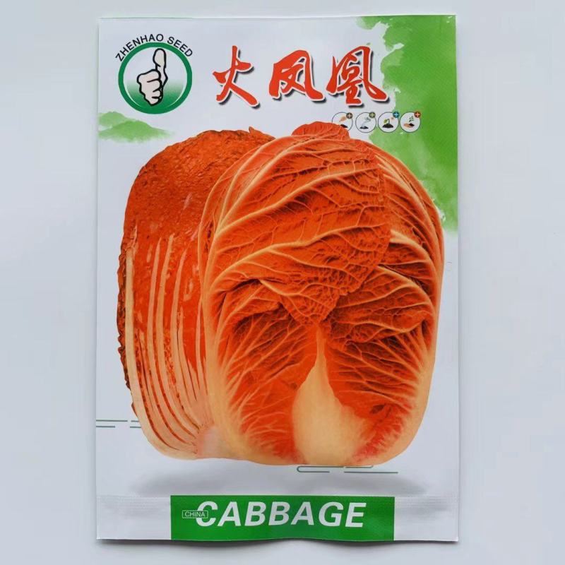 杂交大白菜种子火凤凰白菜种子杂交黄心白菜种子鸡蛋黄白菜种