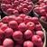 山东苹果优质红富士苹果，纸加膜苹果，对接电商商超价格实惠