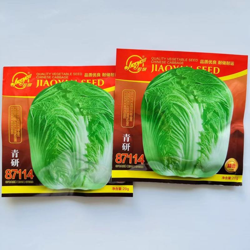 青研87114大白菜种子杂交白菜种子生育期85天左右