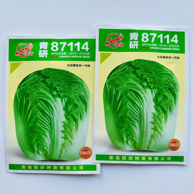 青研87114大白菜种子杂交白菜种子生育期85天左右