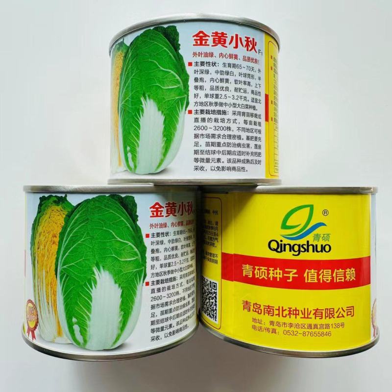 青硕黄心白菜种子杂交白菜种子秋季中小型白菜适宜北方种