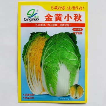 黄心白菜种子杂交白菜种子早熟，中小型白菜耐贮运商品性好