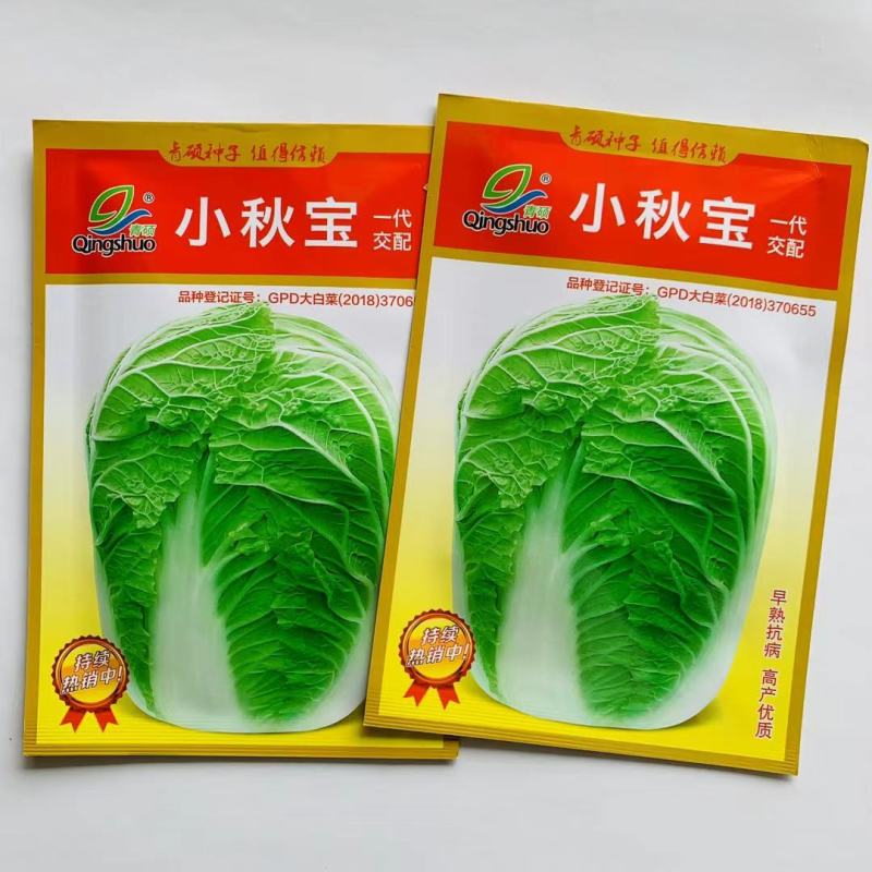 黄心白菜种子杂交白菜种子早熟，中小型白菜耐贮运商品性好