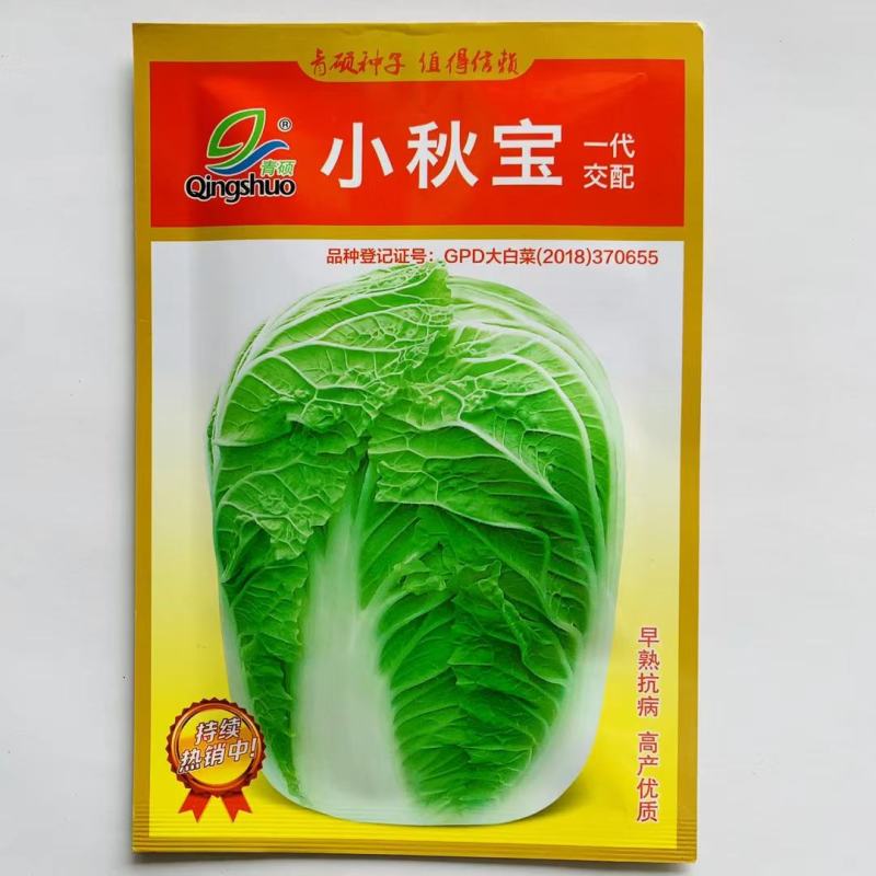 黄心白菜种子杂交白菜种子早熟，中小型白菜耐贮运商品性好