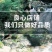 秦皮中药材店铺野生厚秦皮梣皮蜡树皮苦榴皮50g包邮