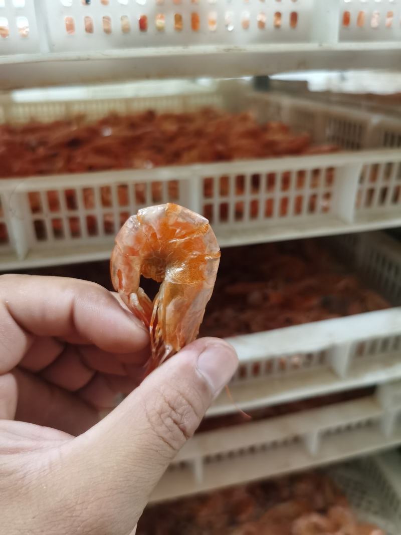 虾干加工源头