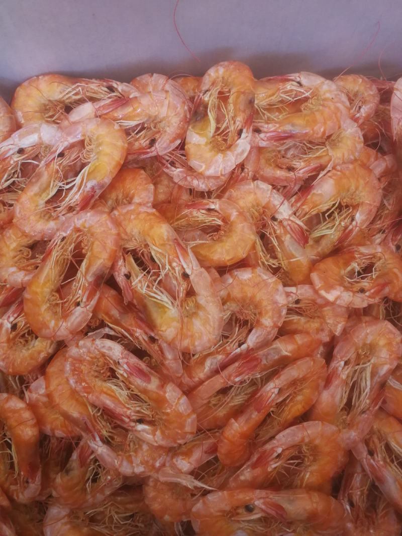 虾干加工源头