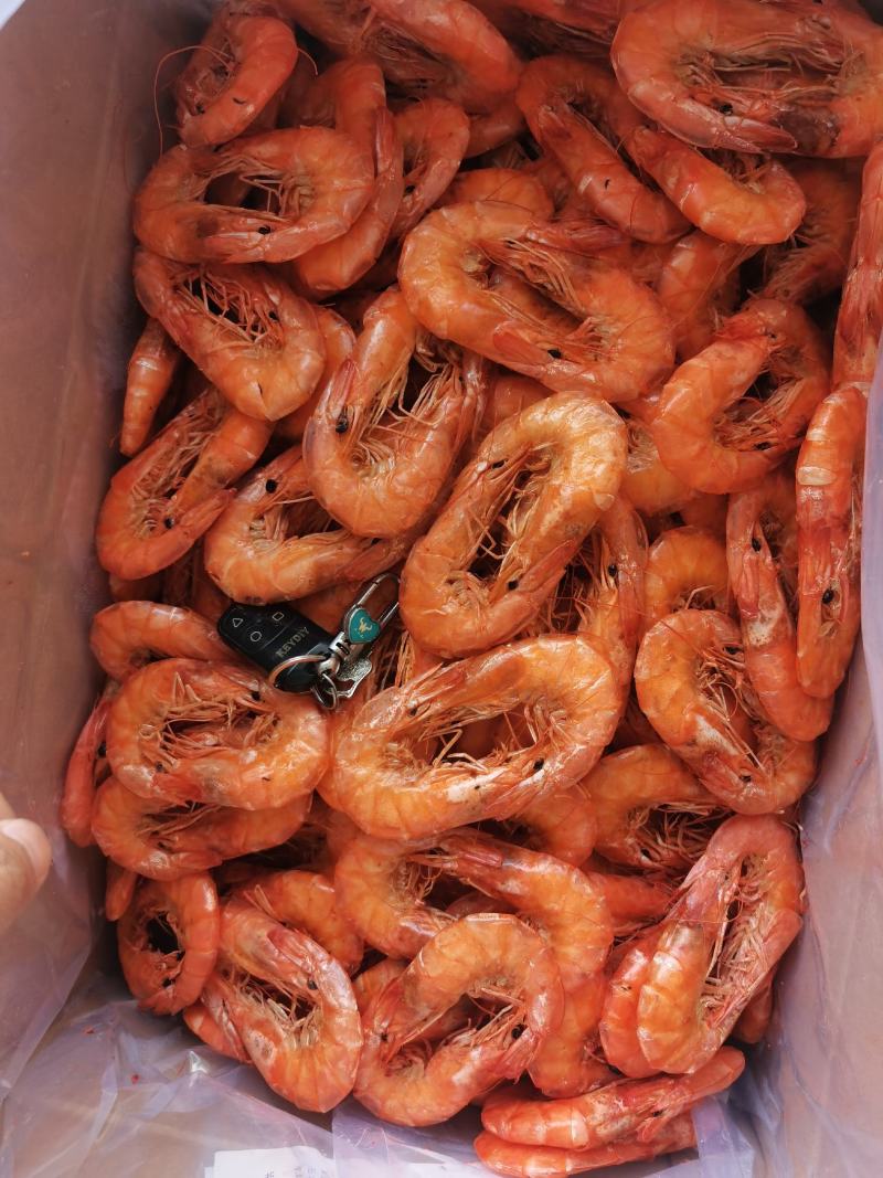 虾干加工源头
