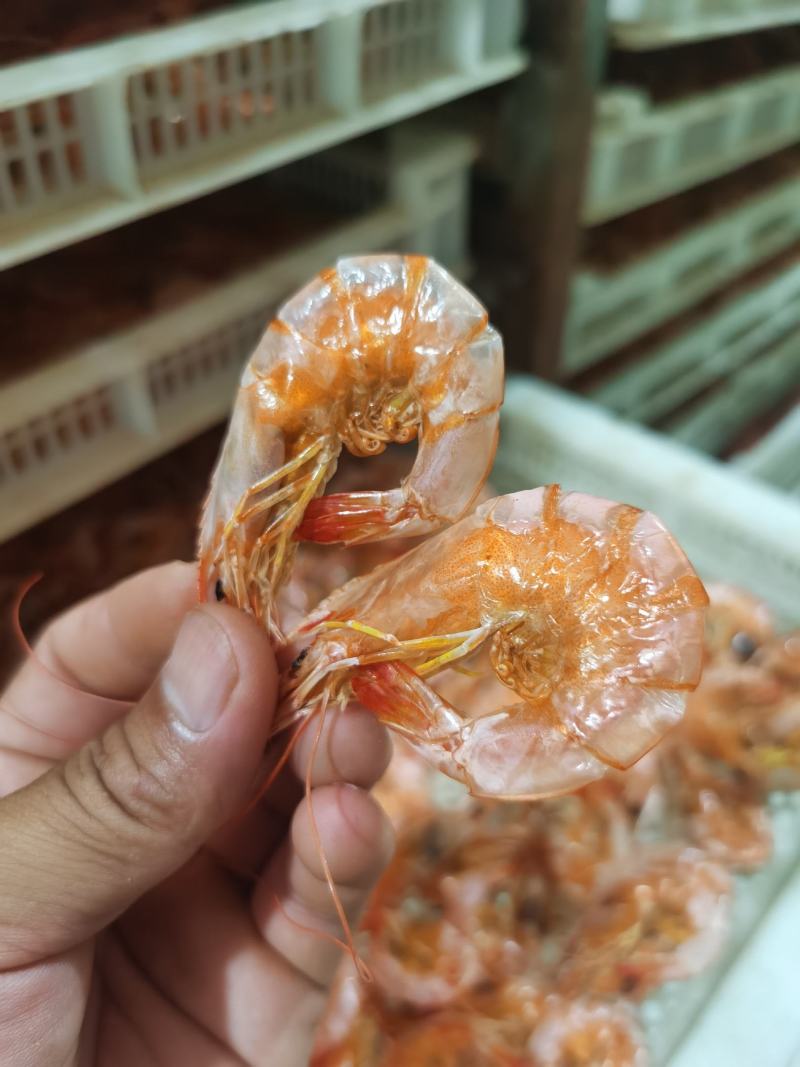 虾干加工源头