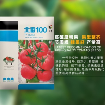 农科院硬粉100粉果番茄种子抗病毒西红柿蔬菜种孑