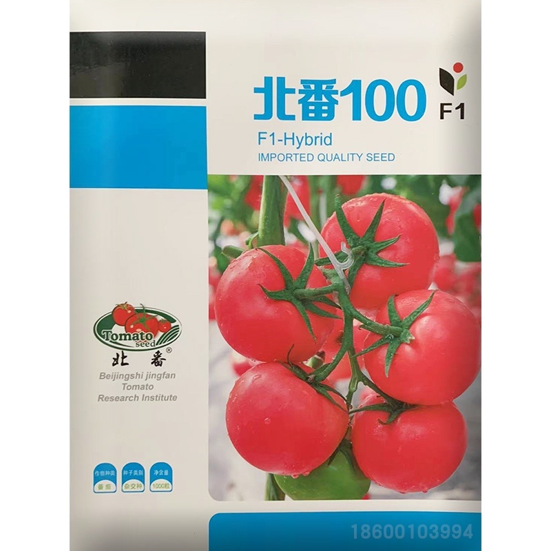 农科院硬粉100粉果番茄种子抗病毒西红柿蔬菜种孑