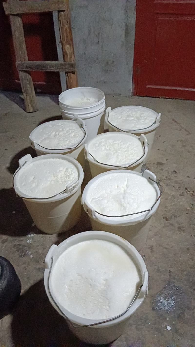 豆腐批发，老豆腐2元，水豆腐30一桶
