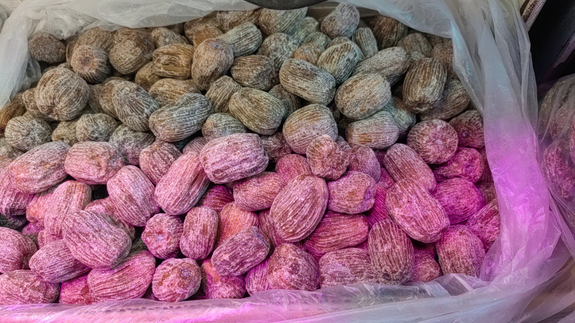 脆枣特写：金棕色半透明薄片状，表面微起皱，无糖霜结晶，置于白色陶瓷碟中，背景为新疆若羌灰枣果园实景图