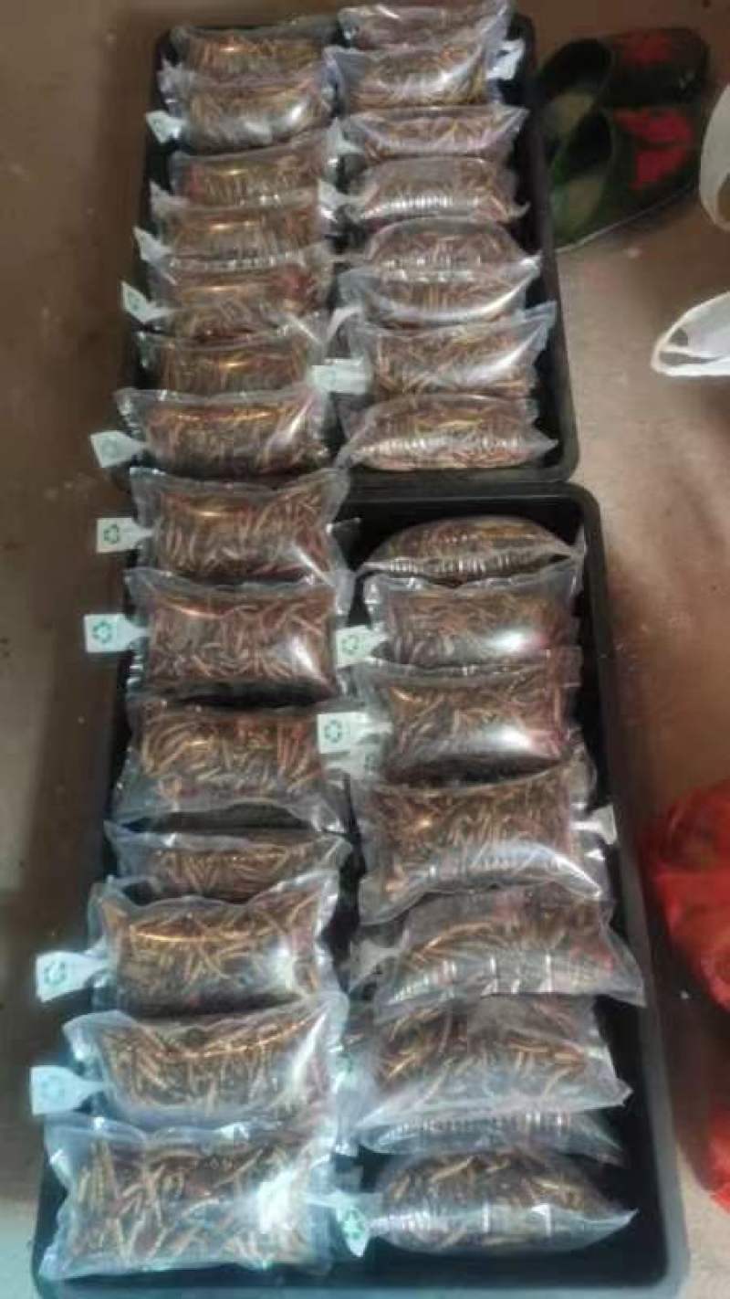 每天一批货，花生大麦虫：饮品好搭档、下酒小零食