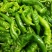 【推荐】螺丝椒全螺尖椒山东鲜辣椒山东螺丝椒供应中