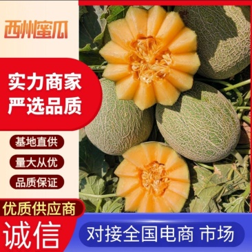 海南哈密瓜,晓蜜25号,一手货源,严选品质