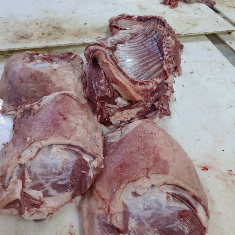鲜羊排
