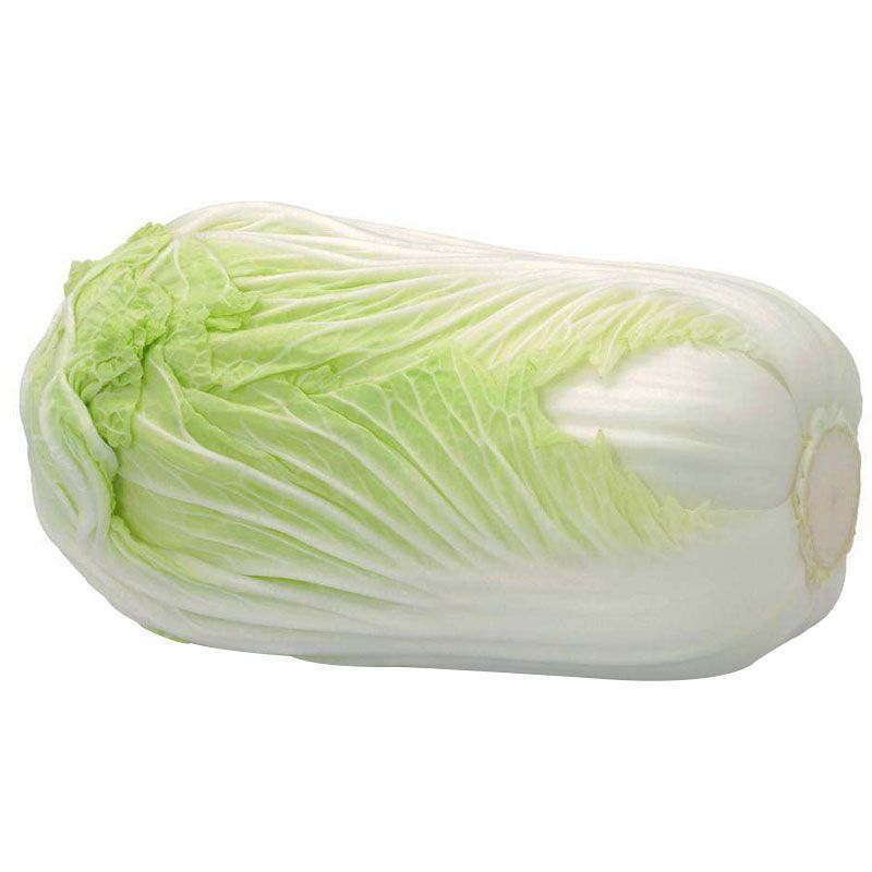 【地头价】河南黄心大白菜大量有货价格超低要的联系
