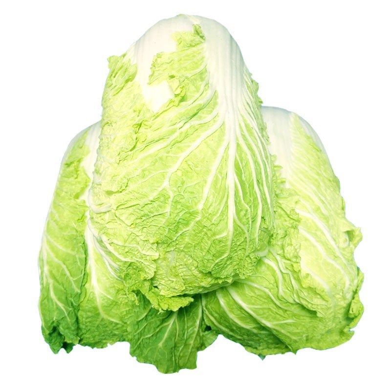 【地头价】河南黄心大白菜大量有货价格超低要的联系
