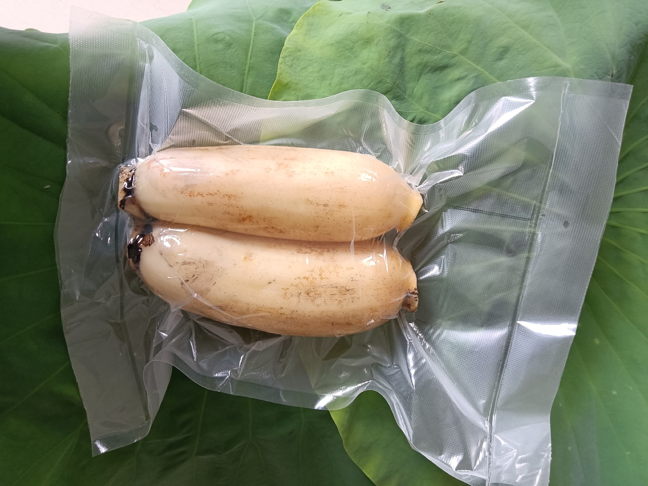 莲藕储存过程图