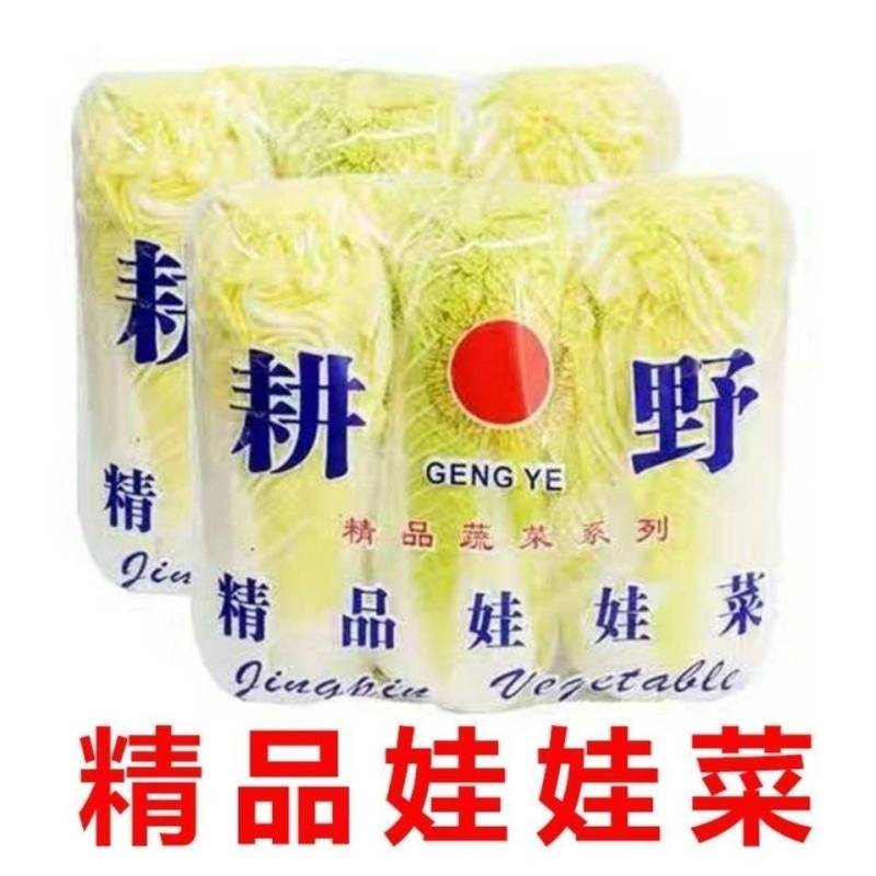 【地头价】河南娃娃菜大量有货价格低品质好要的联系