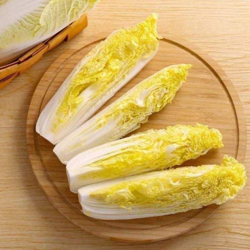 【地头价】河南娃娃菜大量有货价格低品质好要的联系